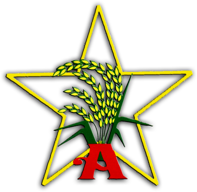 Arindo Logo